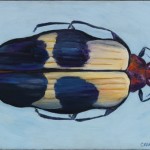 Beetle, oil on canvas, 12 x 16 inches