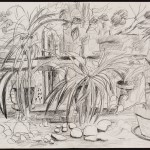 Spiderplants, graphite on paper, 26 x 40 inches